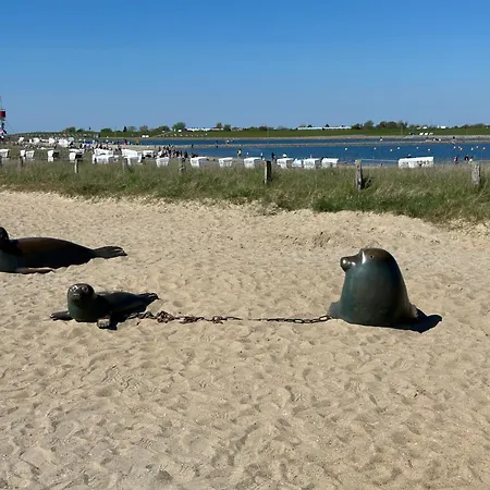 Apartment Ritthoff Perlebucht - Mit Strandkorb Am Und Kostenloser Eintritt Ins Schwimmbad Busum
